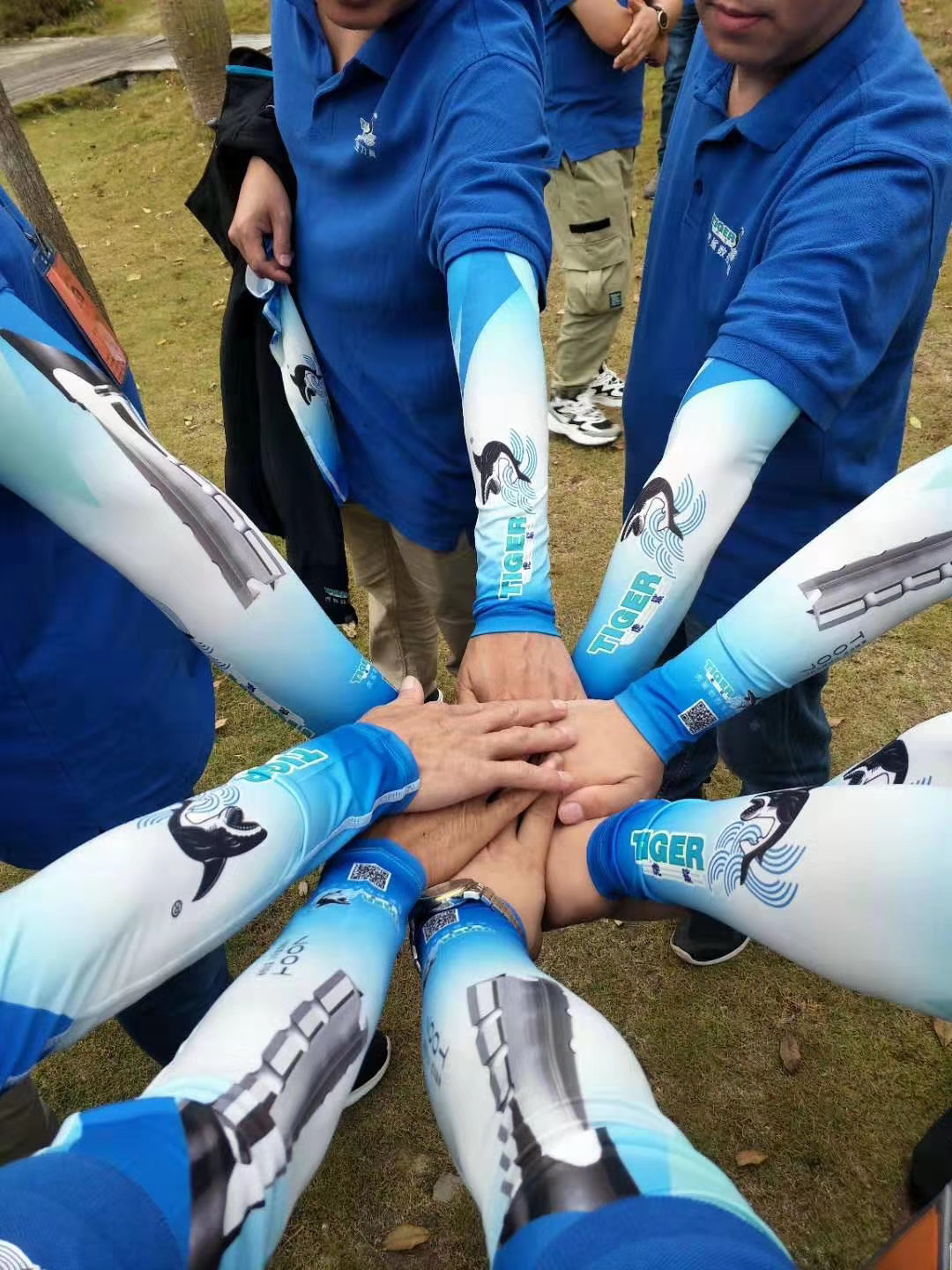 Team up with tiger shark